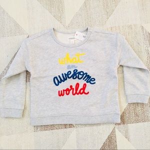 what an awesome world pullover